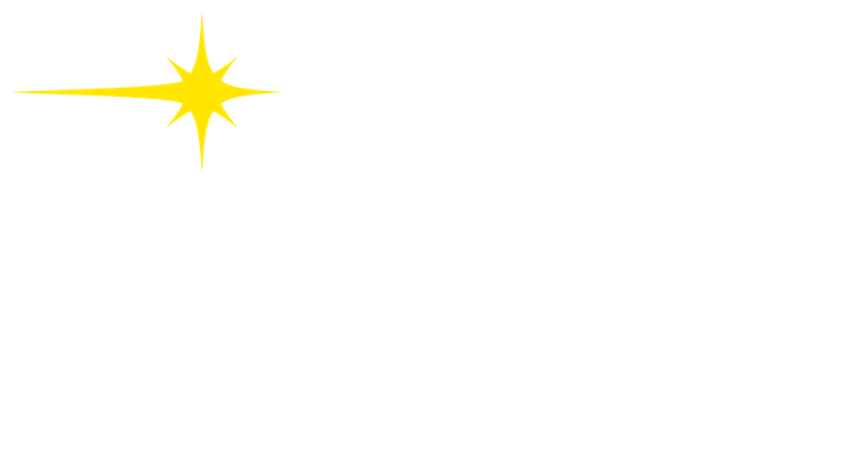 Light Logo